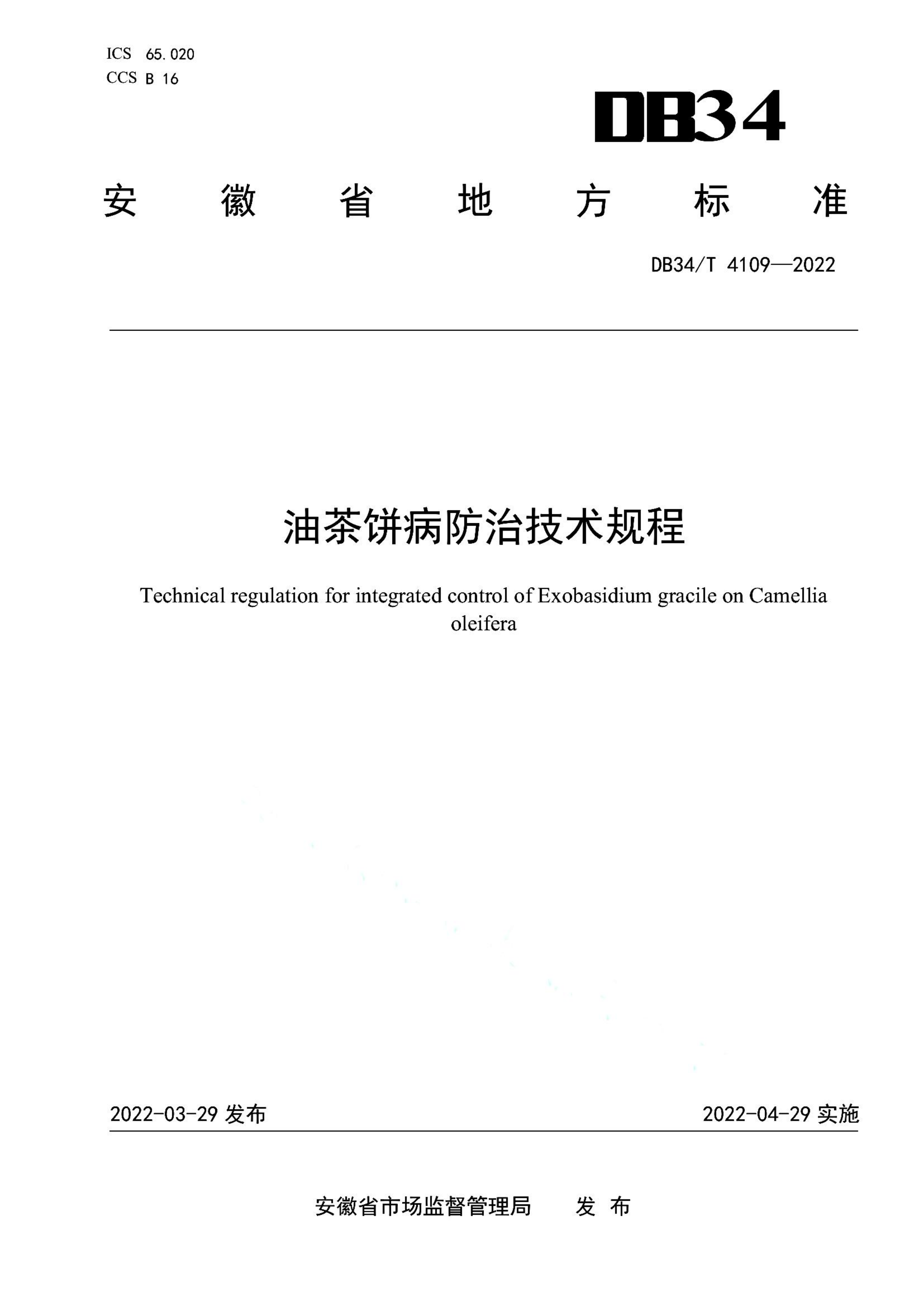 资源详情图